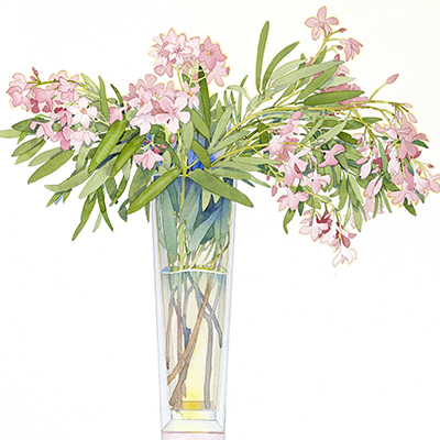 美品　洋書　Flowers：ゲイリー・ブコヴニク　Gary Bukovnik Amazon.com: Flowers: Gary Bukovnik Watercolors and Monotypes